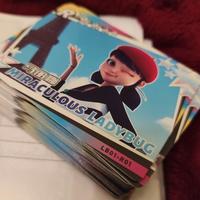 Card carte miraculous ladybug lotto chat noir