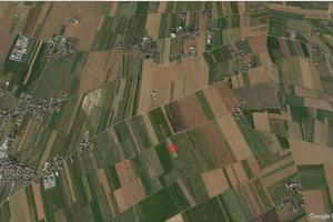 Terreno gricolo a Mandrogne