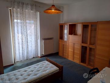 Stanza in appartamento a Collegno 250 euro