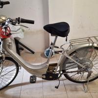 Bicicletta elettrica