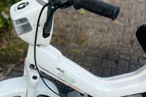 atala green