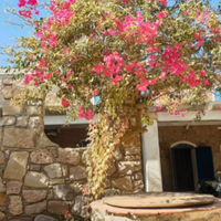 Casa vacanze isola di San Pietro