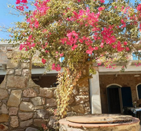 Casa vacanze isola di San Pietro