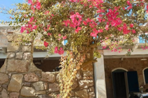 Casa vacanze isola di San Pietro