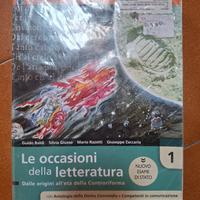 Le occasioni della letteratura 1