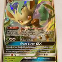Carte Pokemon