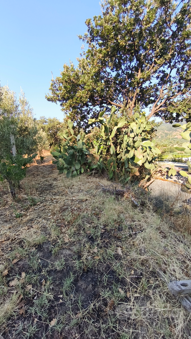 Terreno agricolo - Vista 3