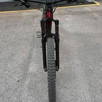 E-MTB trek