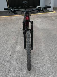 E-MTB trek