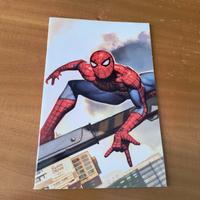 Amazing spiderman 1/874 variant