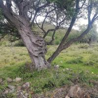 Sport e tempo libero