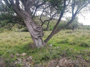 Sport e tempo libero