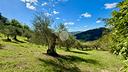 ter-agricolo-a-saludecio