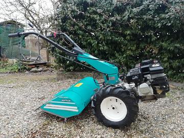 Motocoltivatore bertolini