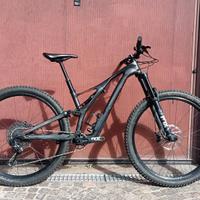 Specialized Stumpjumper Comp Carbon