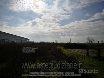 Terreno Agricolo Bientina [A4265424]