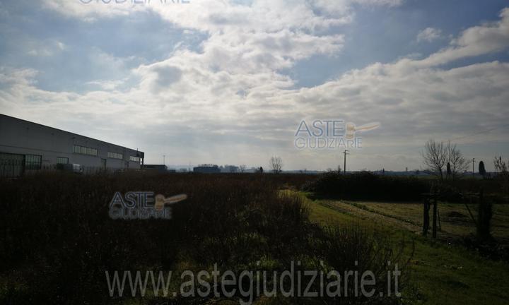 Terreno Agricolo Bientina [A4265424]