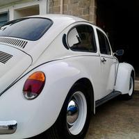 Volkswagen maggiolone