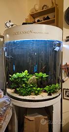 Acquario Oceanson semicilindrico
