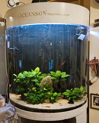 Acquario Oceanson semicilindrico