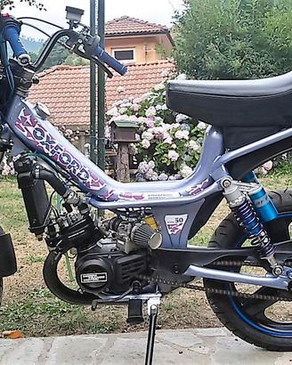 Oxford Peripoli - € 2.000