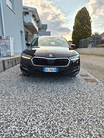 Škoda Octavia Executive 2.0 TDI 115 CV DSG 