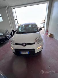 Fiat Panda 1.0 FireFly S&S Hybrid Pandina km1.500