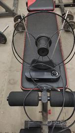 Antenna TV da interno amplificata Accord 