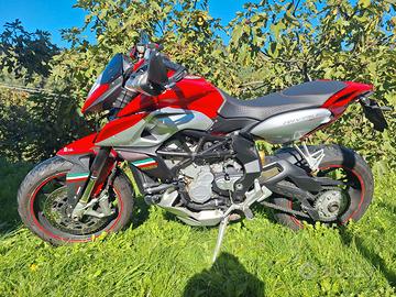 MV Agusta Rivale 800 - 2014