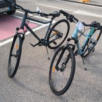 MTB nuove
