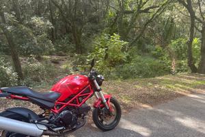 Ducati monster 695