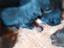 Immagine 6