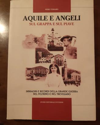 aquile e angeli sul Grappa e sul Piave