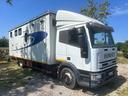 eurocargo-trasporto-cavalli