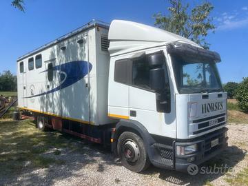 Eurocargo trasporto cavalli