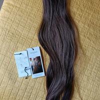 Coda di cavallo della Balmain