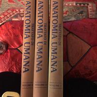Anatomia Umana 3 volumi IV edizione