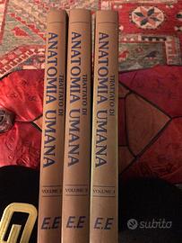 Anatomia Umana 3 volumi IV edizione