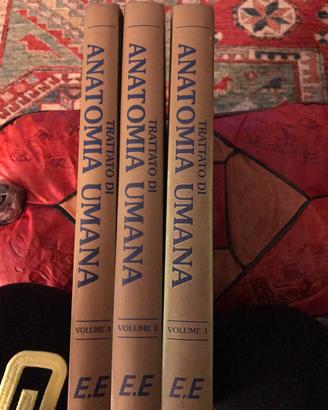 Anatomia Umana 3 volumi IV edizione