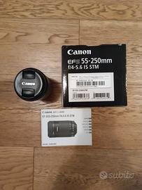 Canon EF-S 55-250 mm IS STM