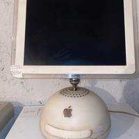 Monitor Vintage Apple anni 2000