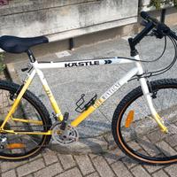 MTB Kastle