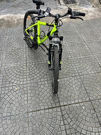 Bici 20’
