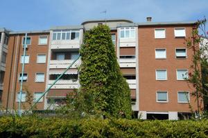 Rif.23979| box auto trieste