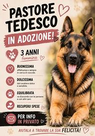 Pastore tedesco
