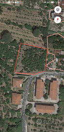 Terreno a San Marco Di Teano - Ce