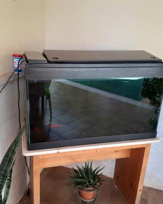 acquario l 110/120