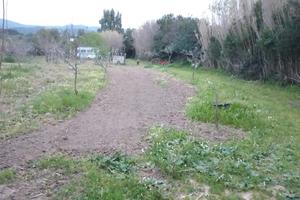 Terreno agricolo con frutteto zona Teulada