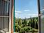 Immagine 15
