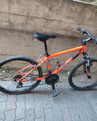 bicicletta 